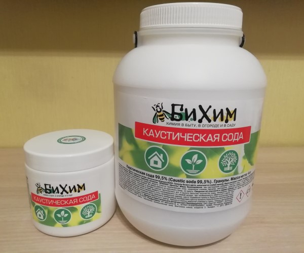 ����� ����