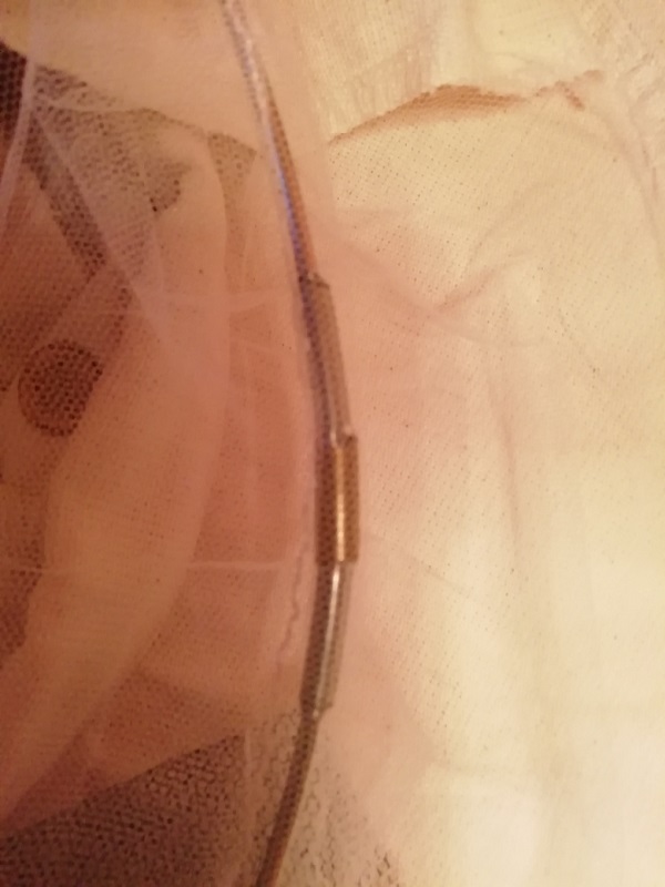 ����� ��������� �������� ������