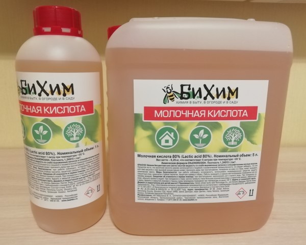 �������� �������